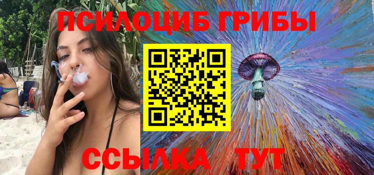 Псилоцибиновые грибы Cubensis Шебекино